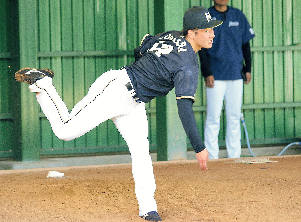 爆熱 元阪神タイガース金本選手実使用スパイク 元日本ハムファイターズ