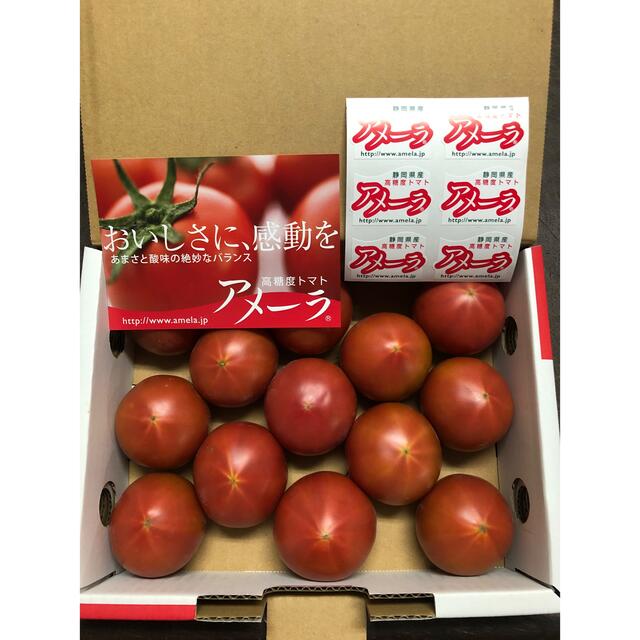 tomato様専用 - le-routeur-wifi.com