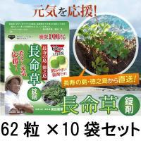 日本山人参イヌトウキ根使用「一粒万倍」150粒を5袋 その他 健康用品