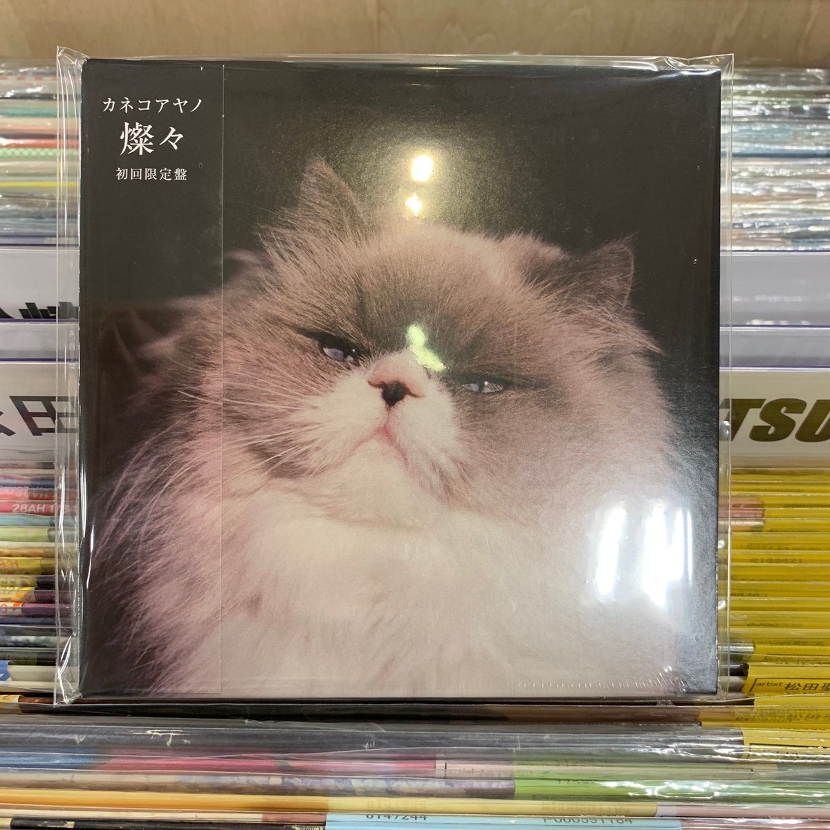 日本産】 レコード 新品未開封 重量盤 燦々 カネコアヤノ LP レコード