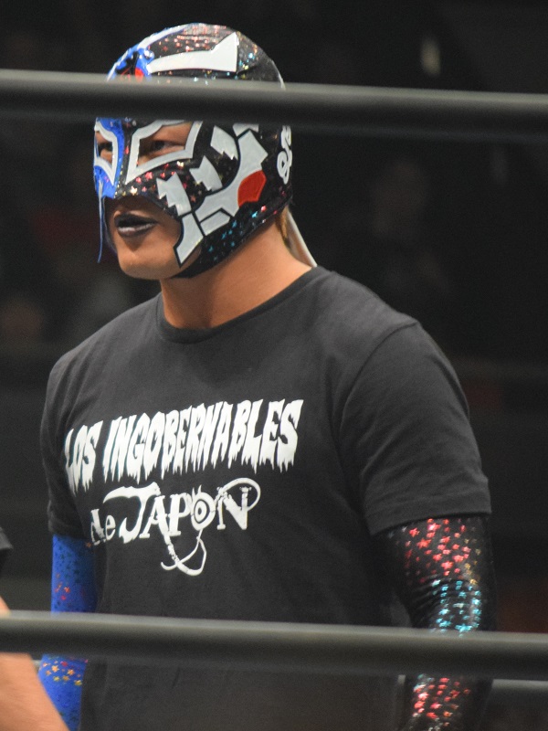 再入荷/予約販売! BUSHI 応援 マスク 新日本プロレス ロスインゴ