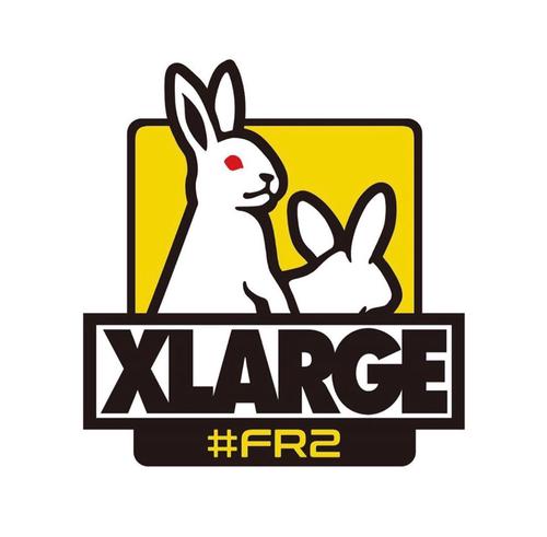 納得できる割引 ꫛꫀꪝ廃盤限定FR2 最新のデザイン パンク